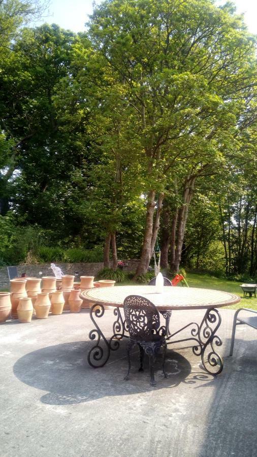 Sunnyside-Cottage Ennistimon Dış mekan fotoğraf